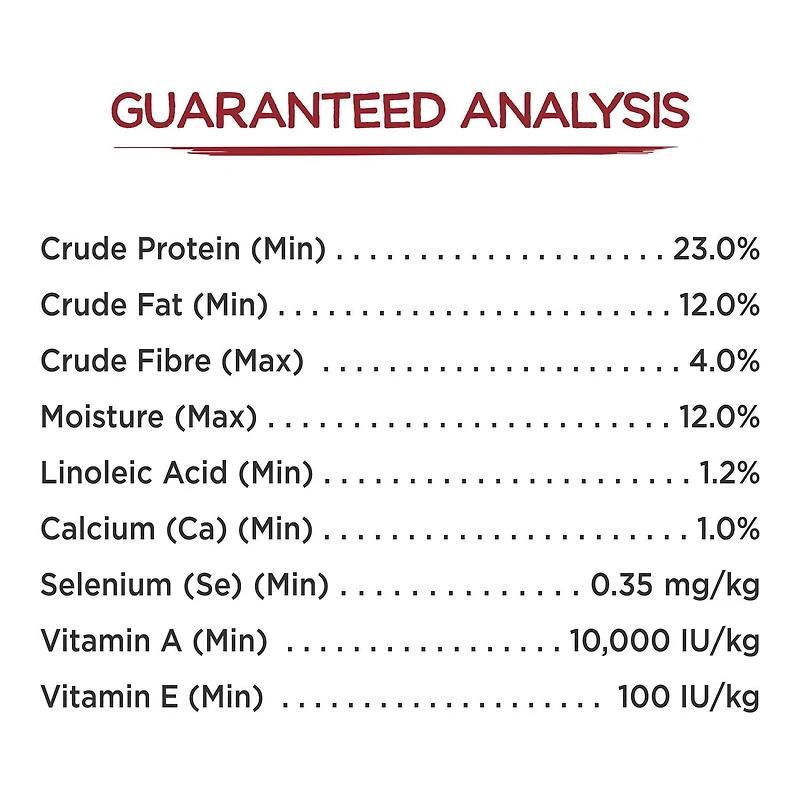 Beneful Originales avec Vrai Boeuf, Nourriture Sèche pour Chiens