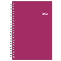 Blue Sky Analeis Medium Weekly/Monthly Planner for 2022