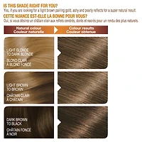 Garnier Belle Color Permanent Hair Dye, Natural results, up to 100% Grey Coverage, Enriched with Argan Oil