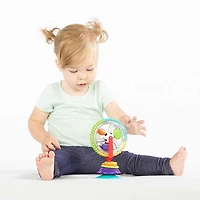 Roue des Merveilles Sassy®