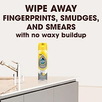 Pledge Stainless Steel Cleaner and Polish, Lemon Zest Scent, 275g
