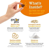 Zesty Paws Immune Peanut Butter Daily Soft Chews Dog Supplement, 60 Soft Chews
