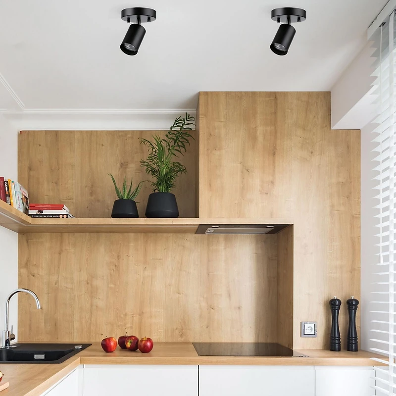 Plafonnier projecteur à une tête Pratt, noir mat