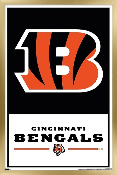 NFL Bengals de Cincinnati