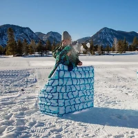 Snow Bunker
