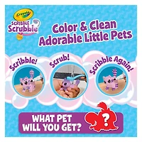Animal mystère Scribble Scrubbie Crayola Animal mystère avec maison