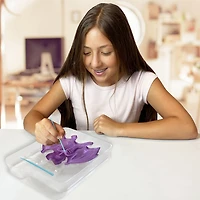 Chauve-souris au labo Dissect-It Chauve-souris au labo