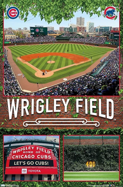 Pokémon - Fête d'anniversaire