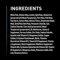 Nourriture sèche sans céréales pour chiens CRAVE saveur de saumon et de poisson de mer