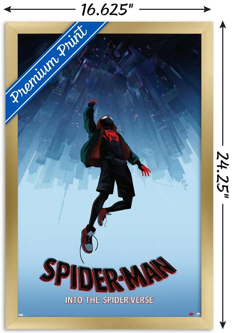 Marvel Spider-Man - Into The Spider-Verse - Falling Wall Poster, 22.375" x 34"