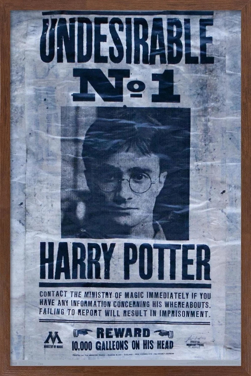 The Wizarding World: Harry Potter - Undesirable Wall Poster