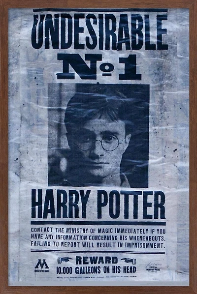 The Wizarding World: Harry Potter - Undesirable Wall Poster