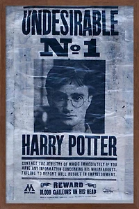 The Wizarding World: Harry Potter - Undesirable Wall Poster