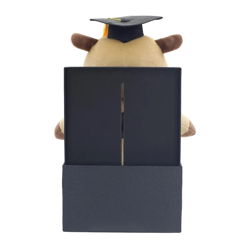 Peluche capybara de la promotion 2026, en coffret cadeau, par Way to Celebrate