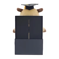 Peluche capybara de la promotion 2026, en coffret cadeau, par Way to Celebrate