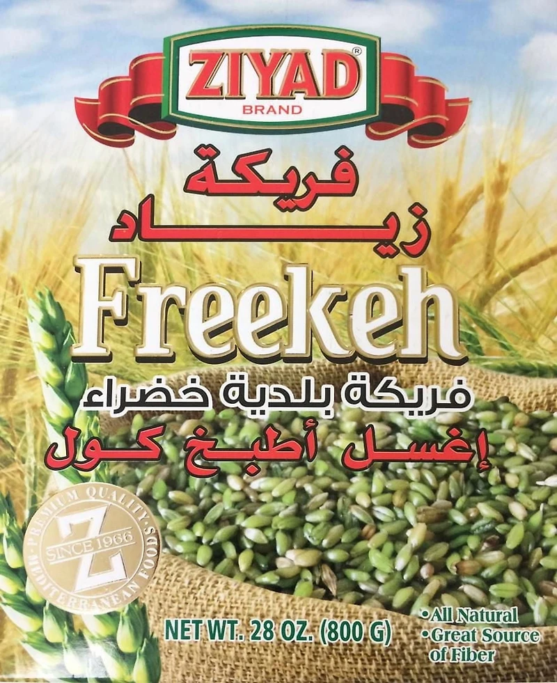 ZIYAD FREEKEH