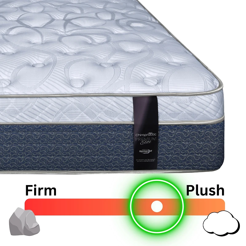 Matelas moelleux de luxe Evy à plateau euro Springwall - Fabriqué au Canada - 14,5" XL - Ressorts ensachés et mousse bio