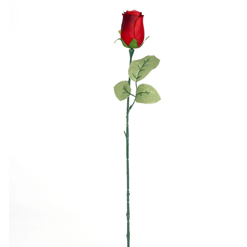 Way to Celebrate Single Red Forever Rose