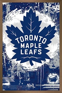 Maple Leafs de Toronto de la LNH