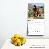 BrownTrout Chien d'arrêt irlandais 2024 Mur Carré 30.48x60.96 CM, 9781975467920