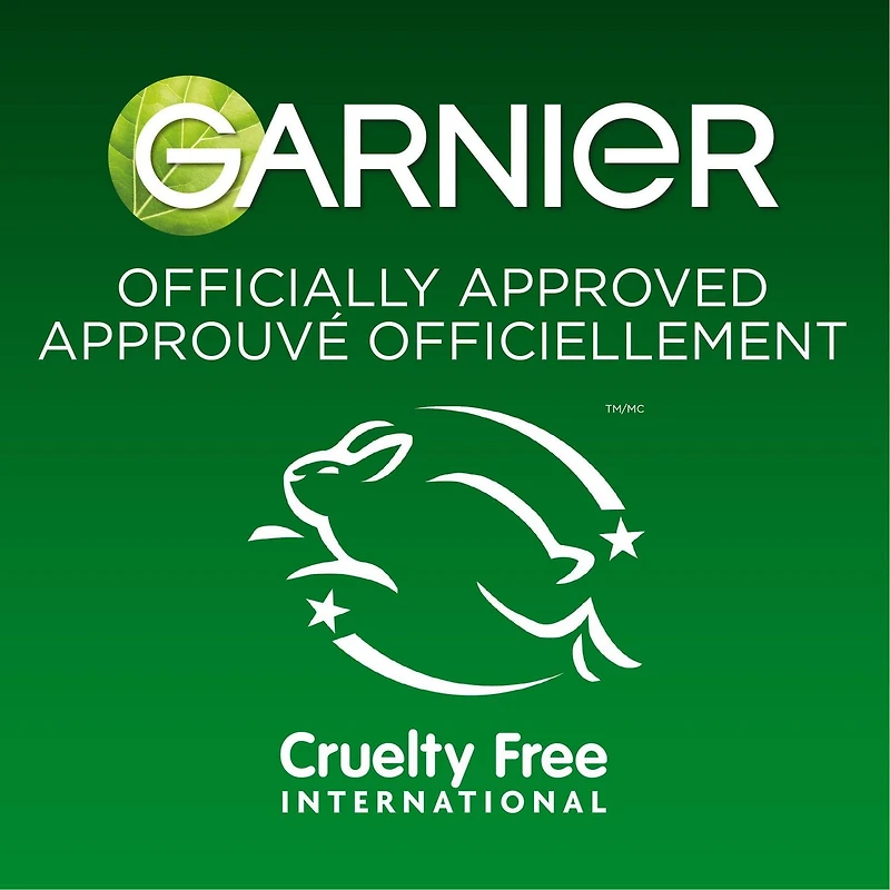 Garnier Sérum Masque en Tissu avec Niacinamide + Kale, soin équilibrant de la peau pour peau grasse, 1 masque en tissu (14 mL)