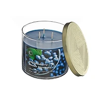 IH Casa Decor 14 Oz 3 Bougie En Pot Avec Couvercle Wild Blueberry - Ensemble De 2