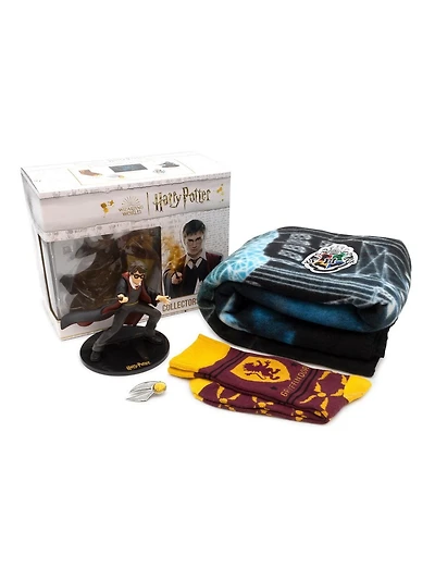 Boîte à Butin Harry Potter