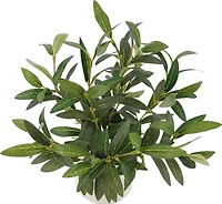 Better Homes & Gardens 14in Indoor Artificial Olive Plant in 2-Tone Ceramic Vase