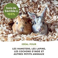 Living World Small Animal Bedding & Litter, Aspen Shavings, 20 L