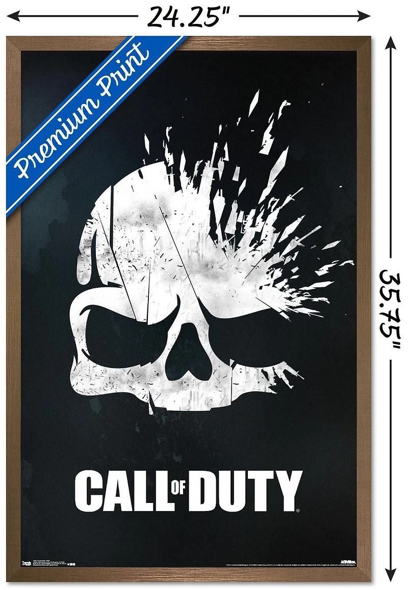 Call of Duty - Skull Wall Poster