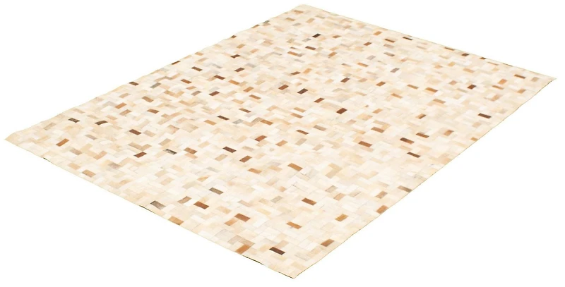 ECARPETGALLERY Tapis Fait à la Main pour Salon