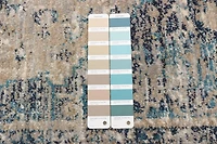 ECARPET Traditional Vintage Style Area Rug for Hallways, Bedroom and Living Room Bolivia Bijar Collection