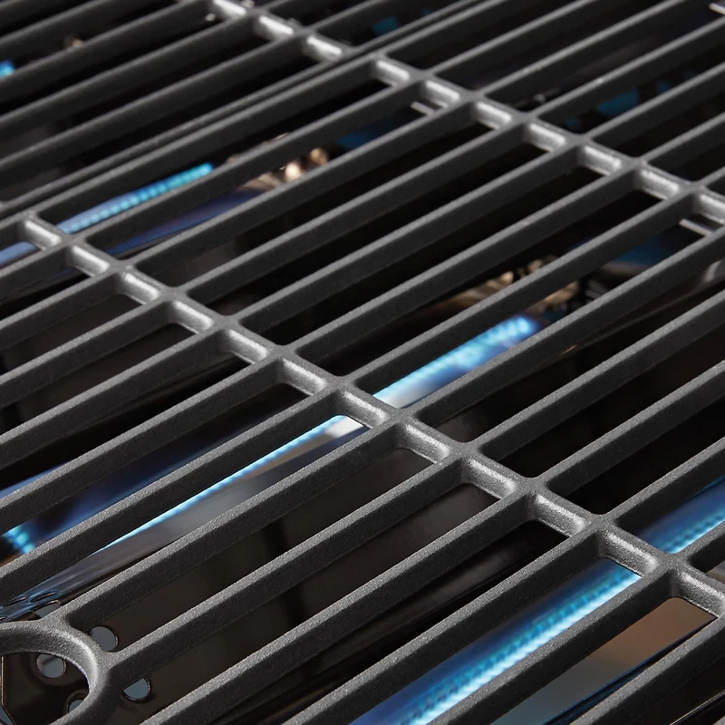 Expert Grill 5-Burner Propane Gas Grill with Side Burner
