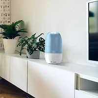Humidificateur ultrasonique à vapeur froide de 70 heures H975AR de PureGuardian