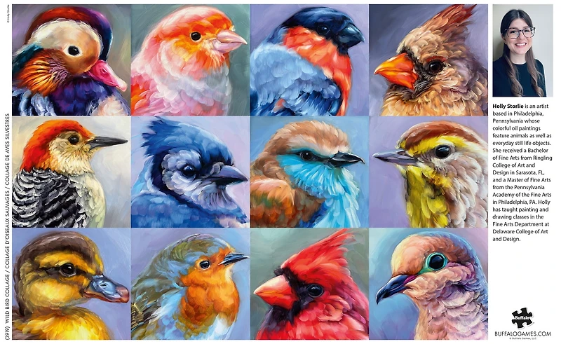 Buffalo Games Bonjour Wild Bird Collage Puzzle de 500 pièces pour adultes de 14 à 99 ans