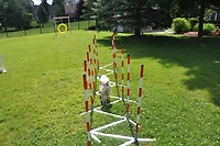 Handlers Choice Metal Base Training Weaves