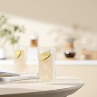 Bodum SKAL 2pc Verre Gin & Tonic Double Paroi 0.28 l, 280ml SKAL DW G&T 280ML