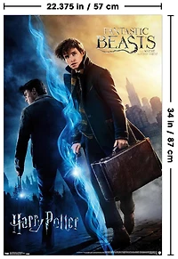 Le monde magique : Harry Potter et les Animaux fantastiques