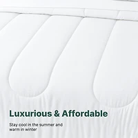 Beddora 7-Piece Bed a Bag – Includes Comforter, 2 Shams, Flat Sheet, Fitted Sheet & Pillowcases Ultra-Soft, All-Season, Queen Bright White