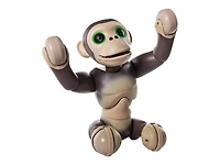 Zoomer - Chimpanzé - - - - - - - - - - - - - - - - - - -