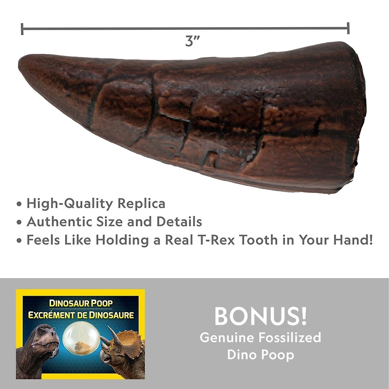National Geographic Dino Fossil Dig Kit