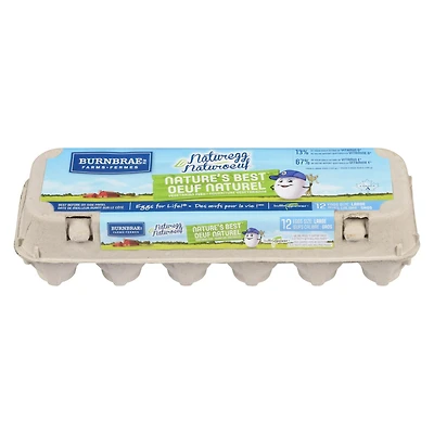 Naturoeuf Oeuf Naturel Gros Blanc 12 oeufs/carton