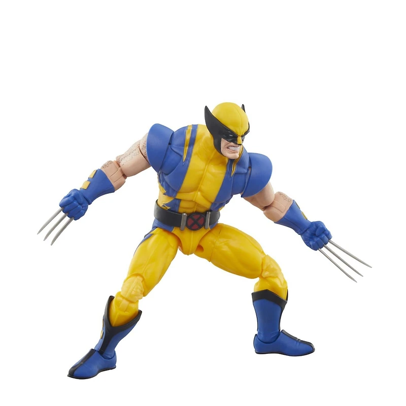 Marvel Legends Series Wolverine, 6" Comics Collectible Action Figure