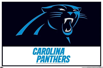 NFL Carolina Panthers - Logo 21 Wall Poster, 22.375" x 34"