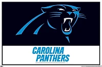 NFL Carolina Panthers - Logo 21 Wall Poster, 22.375" x 34"