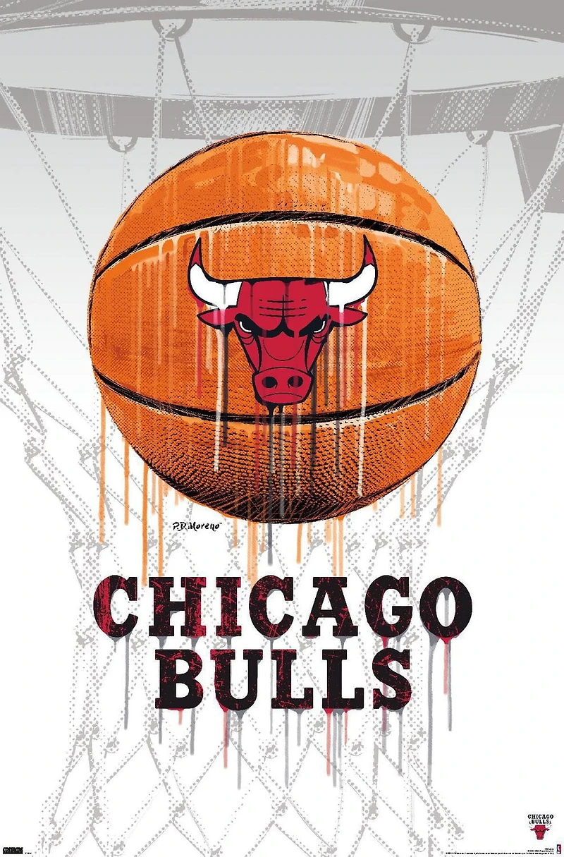 NBA Chicago Bulls - Drip Basketball 21