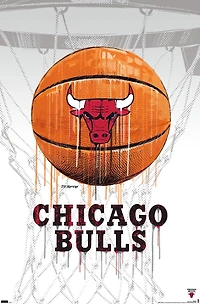 NBA Chicago Bulls - Drip Basketball 21
