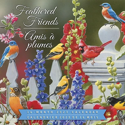 Feathered Friends Amis a plumes 2023 Square Hopper