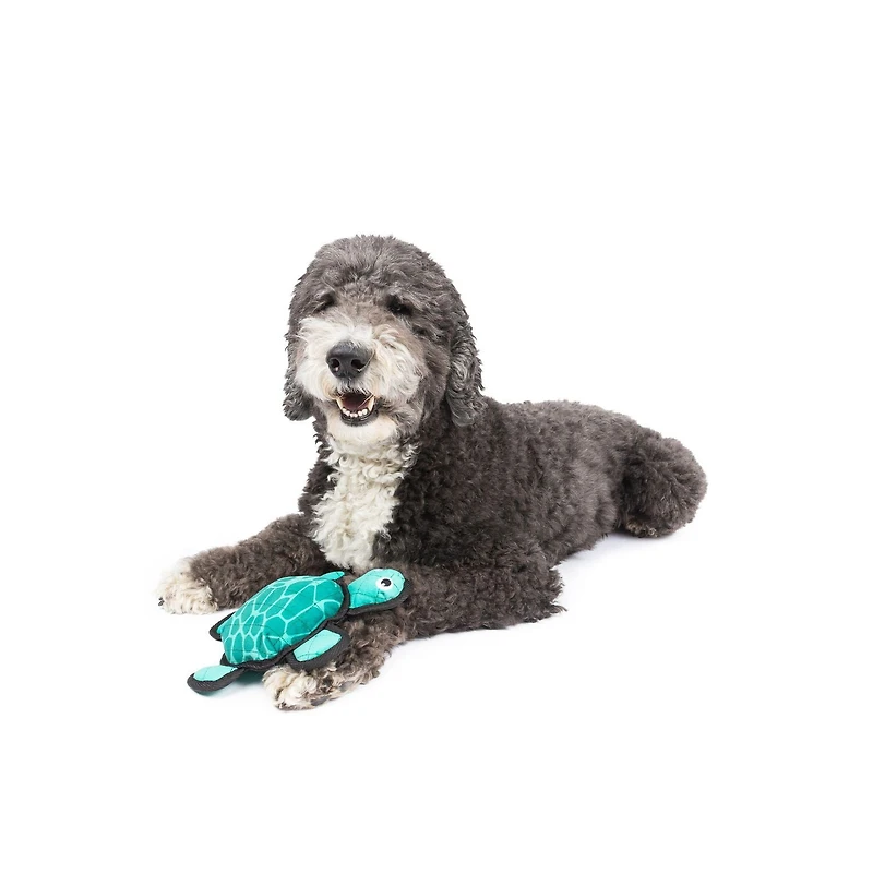 One Paw, Jouet pour Chien Solide comme une Tortue Jouet pour Chien Solide comme une Tortue