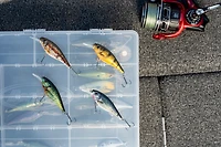 Berkley Flicker Shad Shallow 5CM Yellow Perch